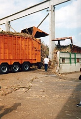 2002 - La Réunion B07 (Cachalots à la sucrerie de Gol - Saint Louis)